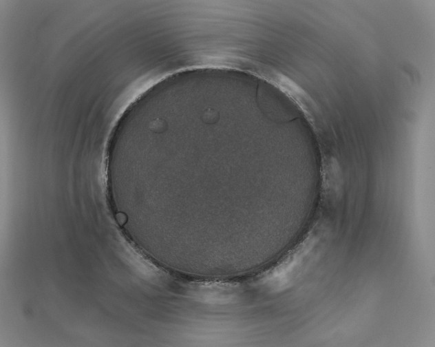 X0000111001077200906191546