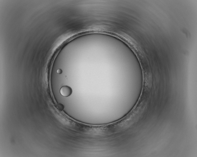 X0000111001078200906191546