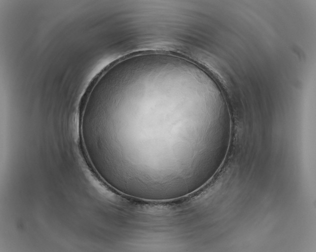 X0000111001079200906191546