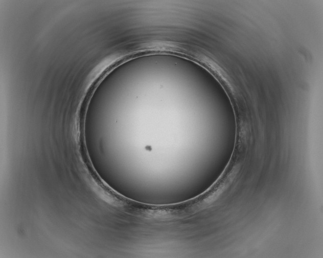 X0000111001082200906191546