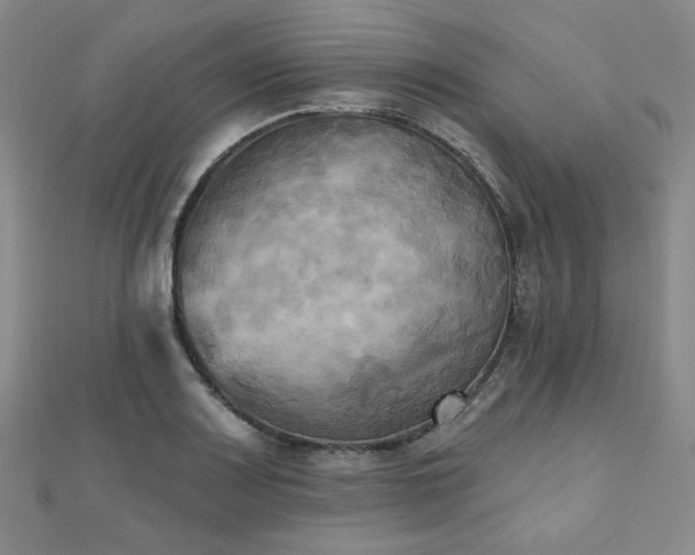 X0000111001083200906191546