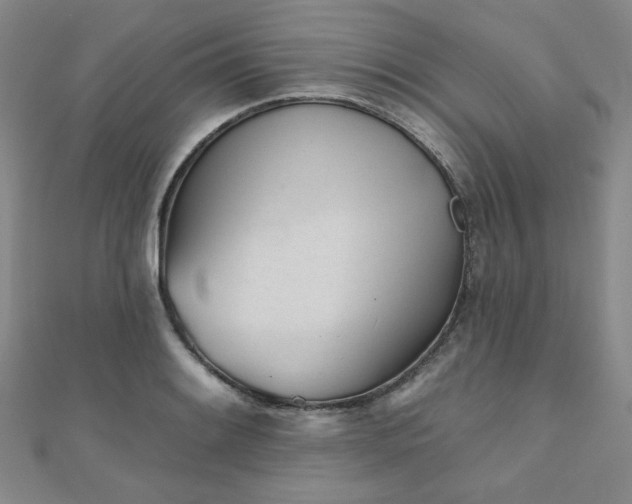 X0000111001084200906191546