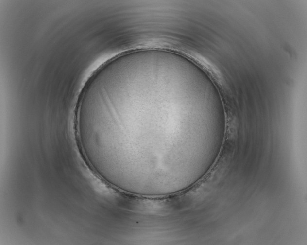 X0000111001086200906191546