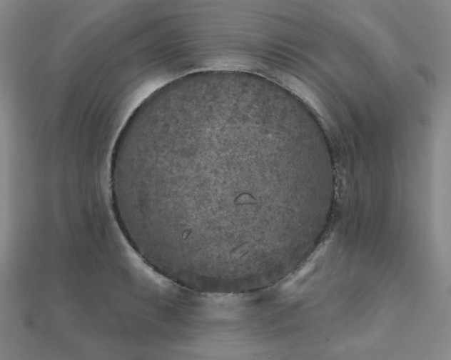 X0000111001087200906191546