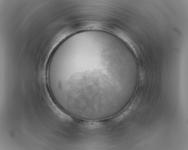 X0000111001090200906191546