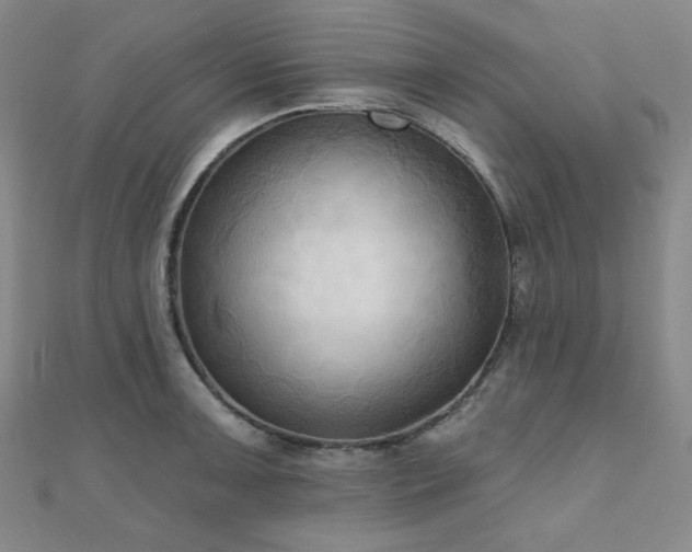 X0000111001091200906191546