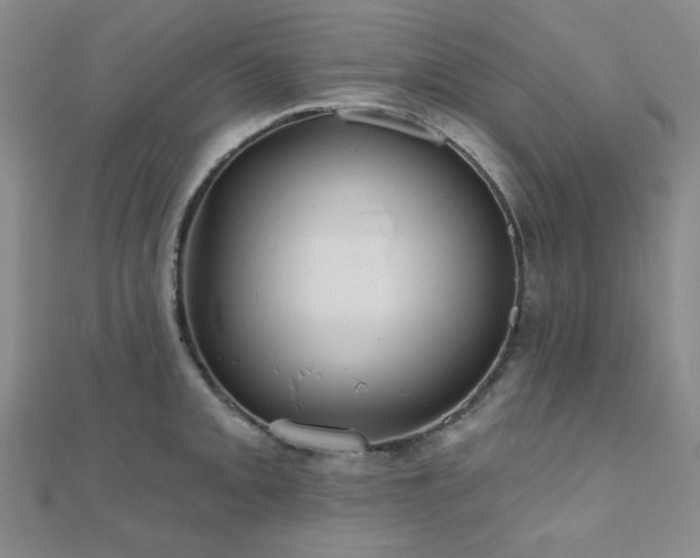 X0000111001093200906191546