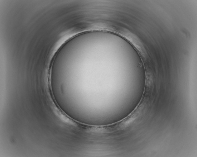 X0000111001094200906191546