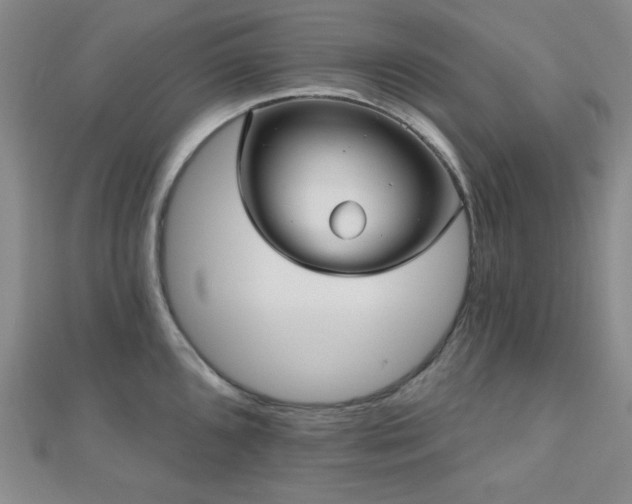 X0000111001096200906191546