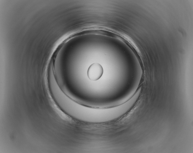 X0000111001098200906191546