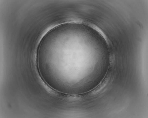 X0000111001099200906191546