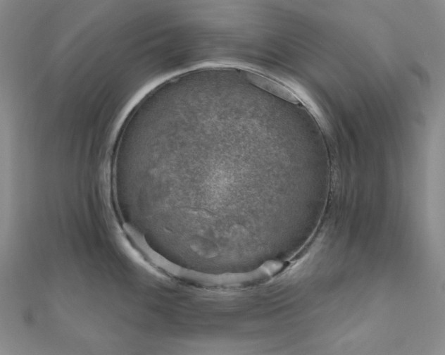 X0000111001100200906191545