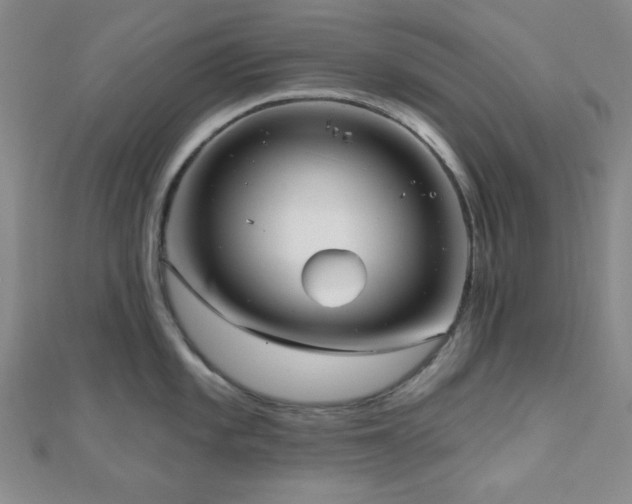 X0000111001101200906191545