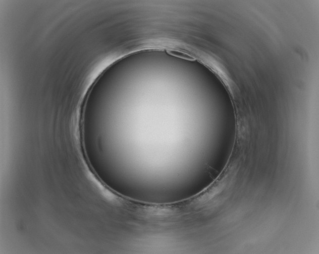 X0000111001103200906191545