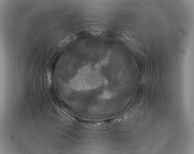 X0000111001106200906191545