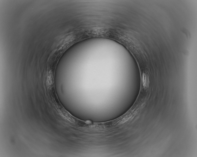 X0000111001107200906191545