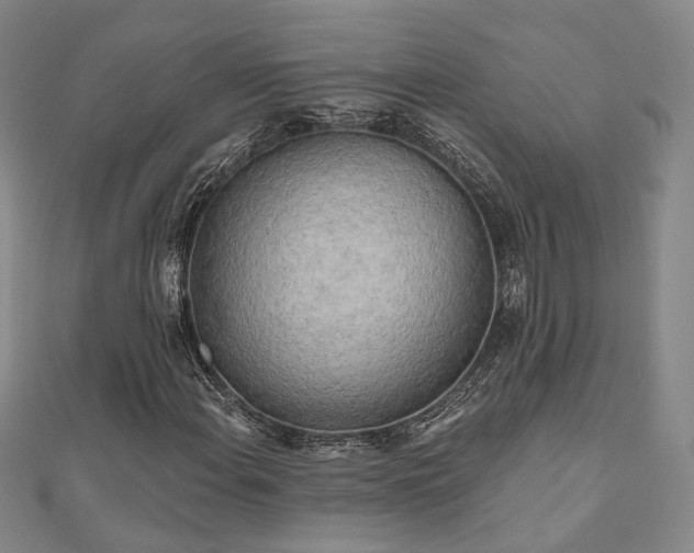 X0000111001108200906191545