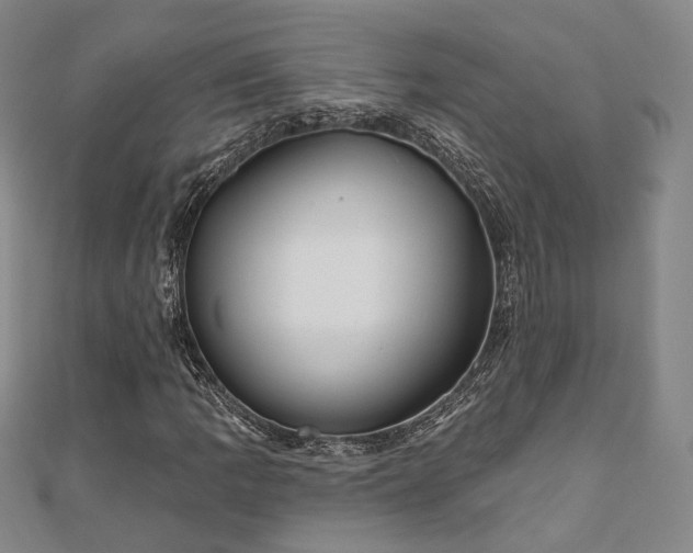 X0000111001109200906191545