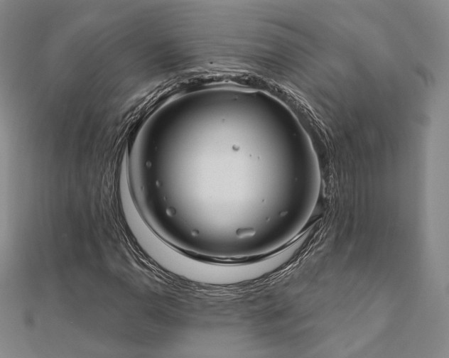 X0000111001110200906191545