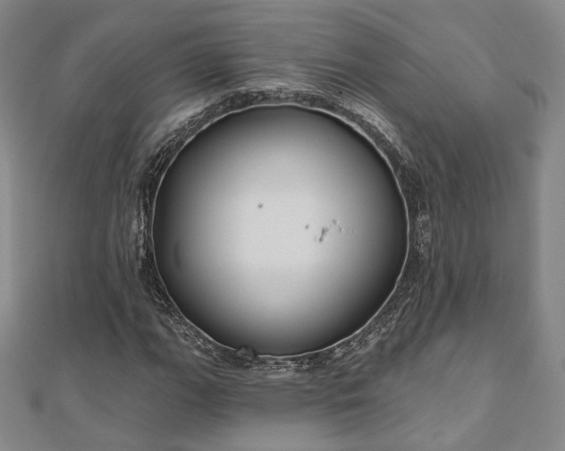 X0000111001111200906191545