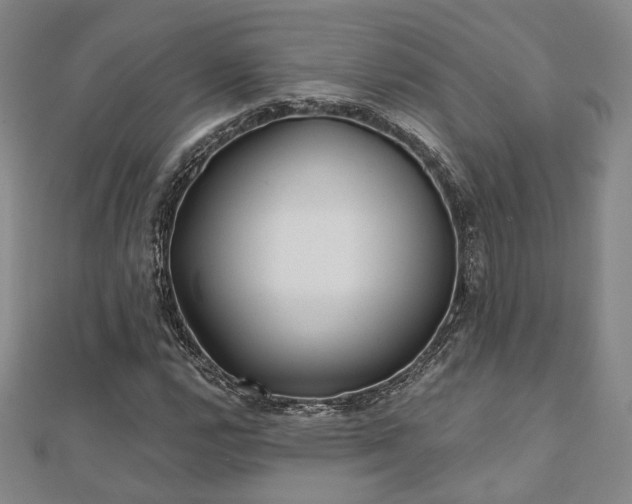 X0000111001112200906191545
