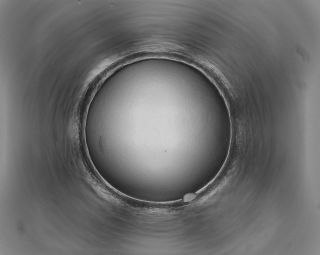 X0000111001114200906191545