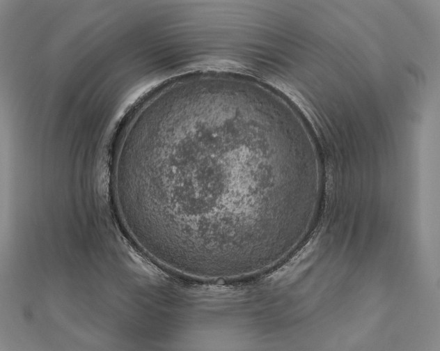 X0000111001115200906191545