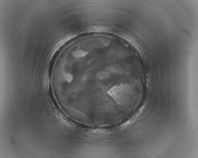 X0000111001117200906191545