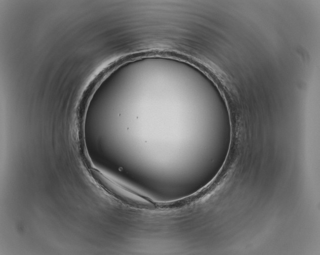 X0000111001118200906191545
