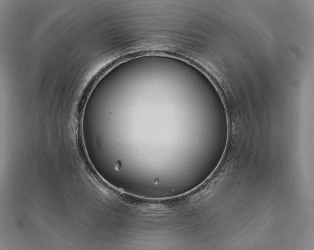 X0000111001119200906191545