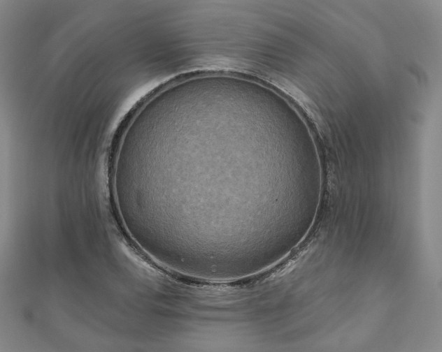 X0000111001120200906191545