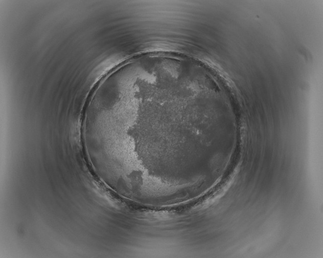 X0000111001121200906191545