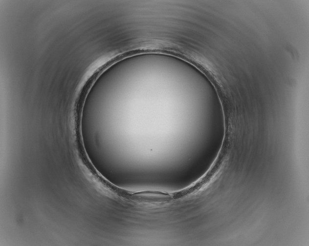 X0000111001122200906191545