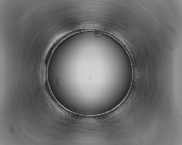 X0000111001123200906191545