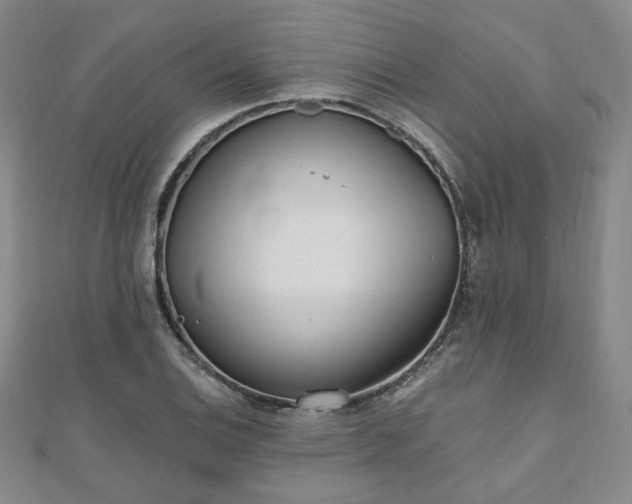 X0000111001124200906191545