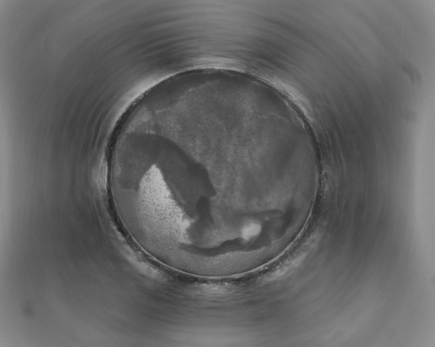 X0000111001125200906191545