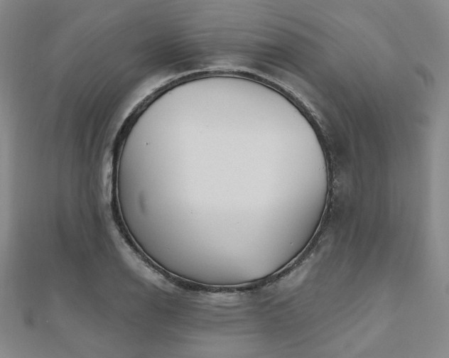 X0000111001126200906191545