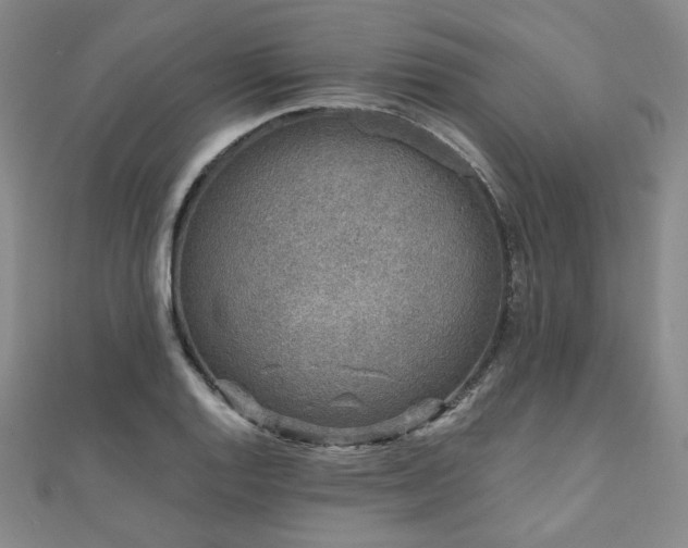 X0000111001128200906191545