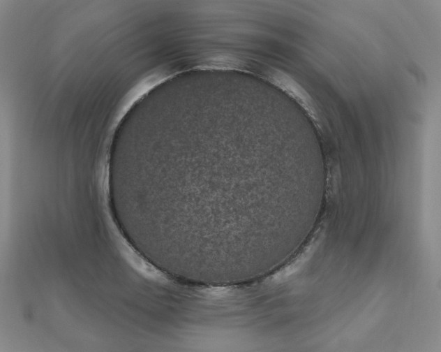X0000111001130200906191545