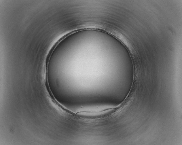 X0000111001132200906191545