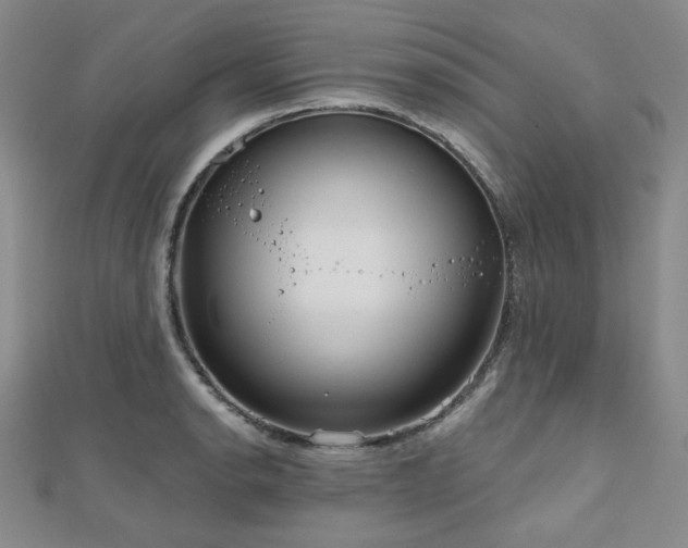 X0000111001134200906191545