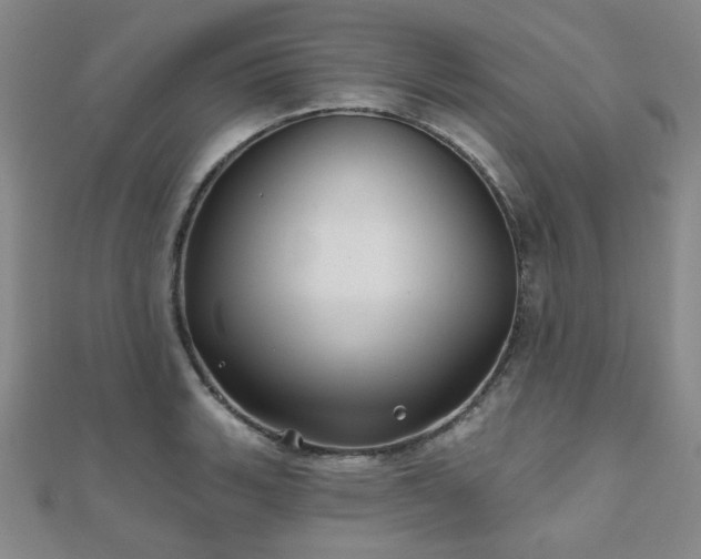 X0000111001135200906191545