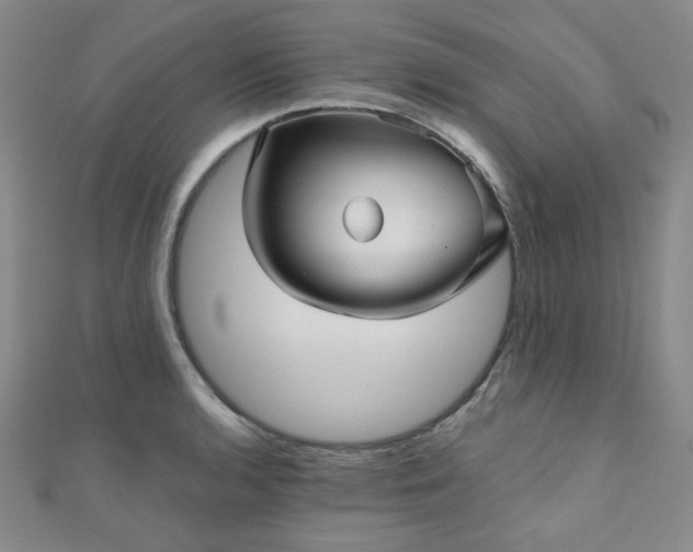 X0000111001136200906191545