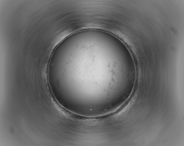 X0000111001137200906191545