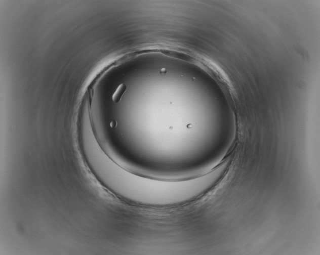 X0000111001138200906191545