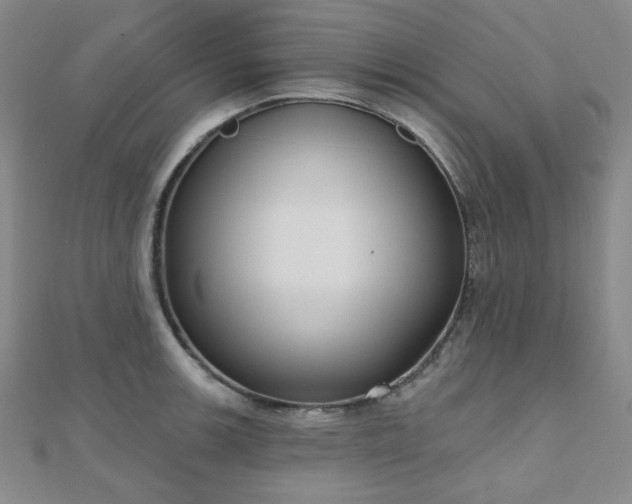 X0000111001139200906191545
