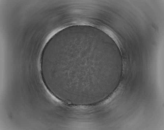 X0000111001141200906191545