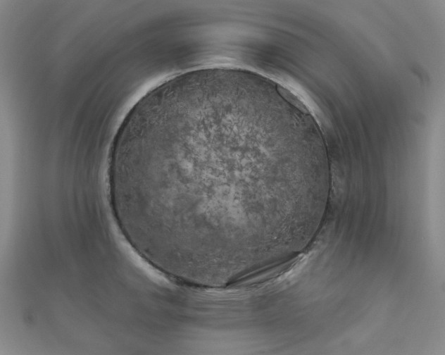 X0000111001142200906191545