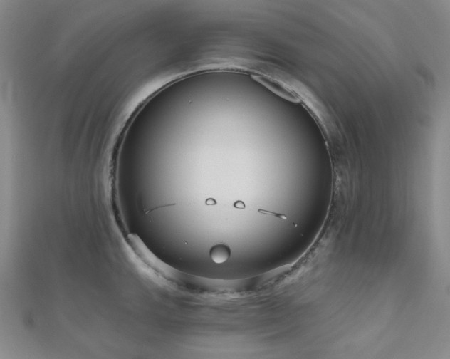 X0000111001143200906191545