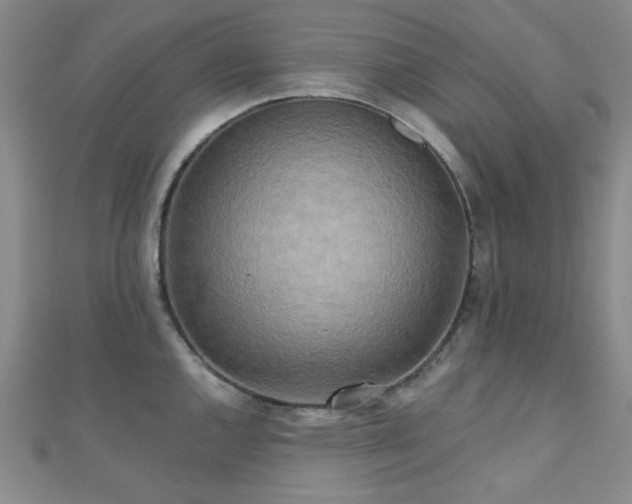 X0000111001144200906191545